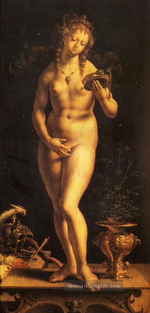 Venus und der Spiegel Jan Mabuse Ölgemälde